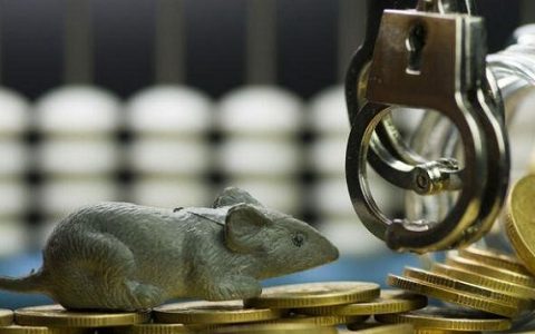 期货直播的视频号